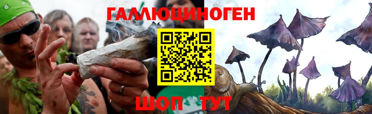 Псилоцибиновые грибы Psilocybe Сатка